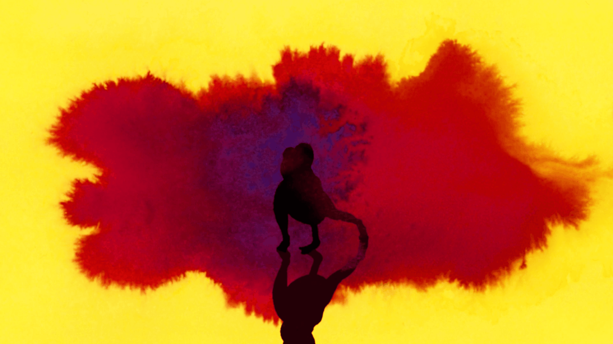 Nina Simone, Don't Let Me Be Misunderstood